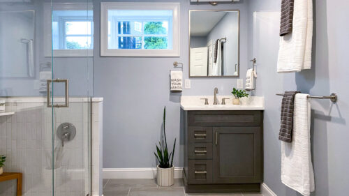 Elevated Basement Bath